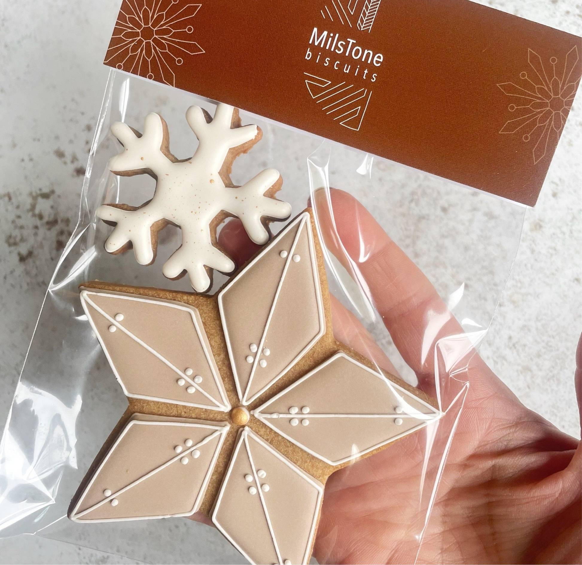 Big Stars & Trees MilsTone Biscuits