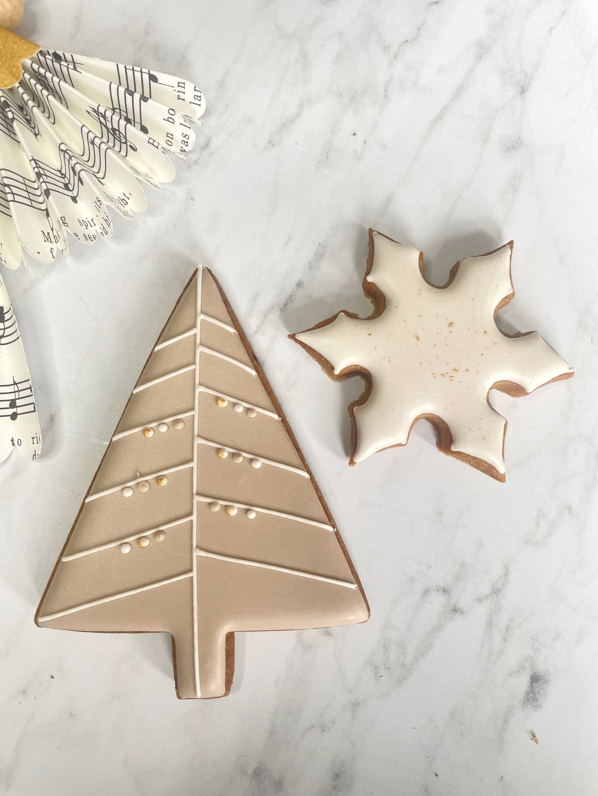 Big Stars & Trees MilsTone Biscuits