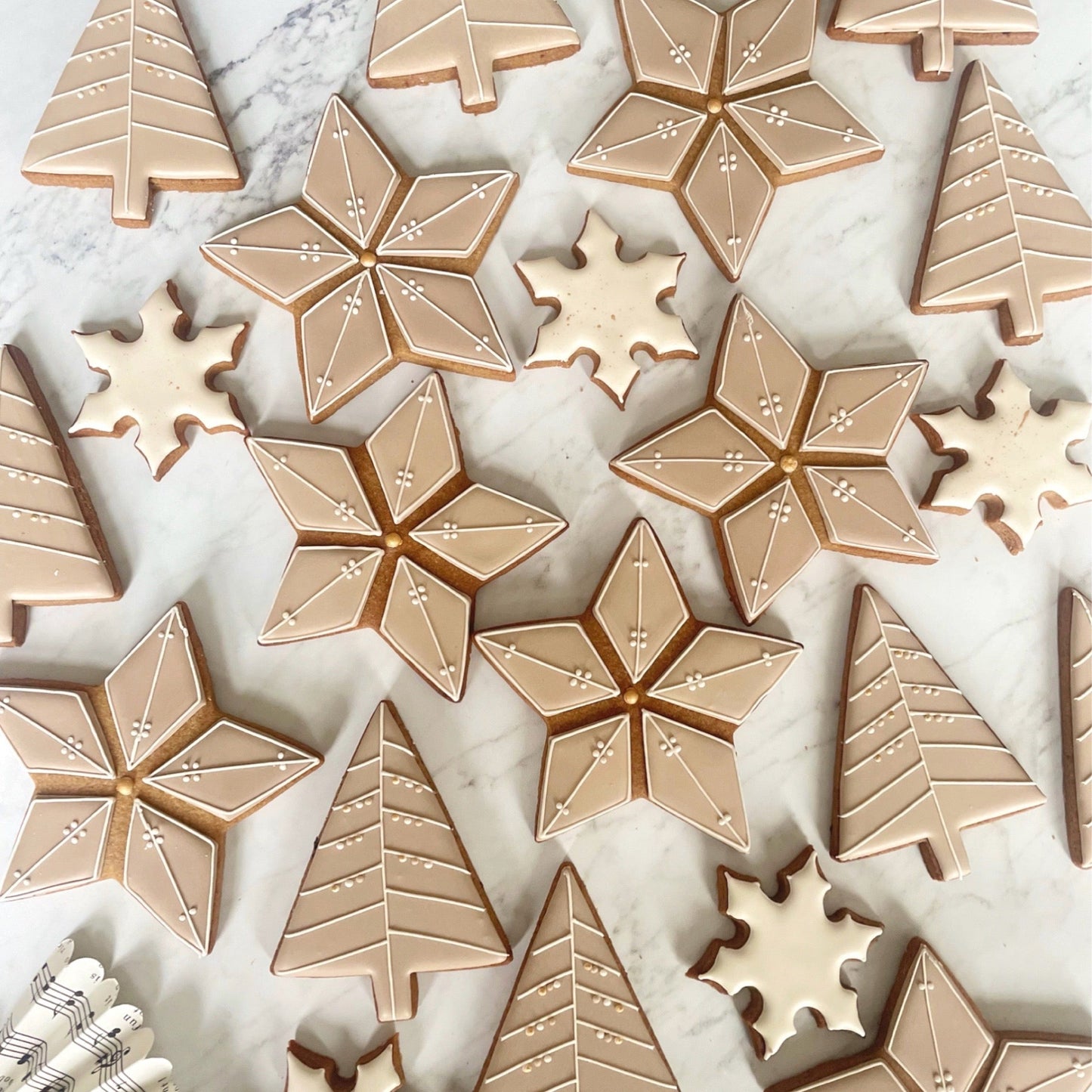 Big Stars & Trees MilsTone Biscuits