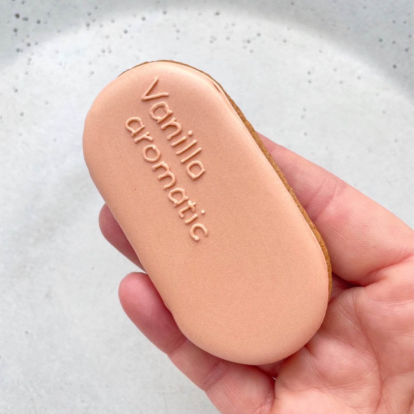 Tasters MilsTone Biscuits